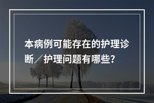 本病例可能存在的护理诊断／护理问题有哪些？