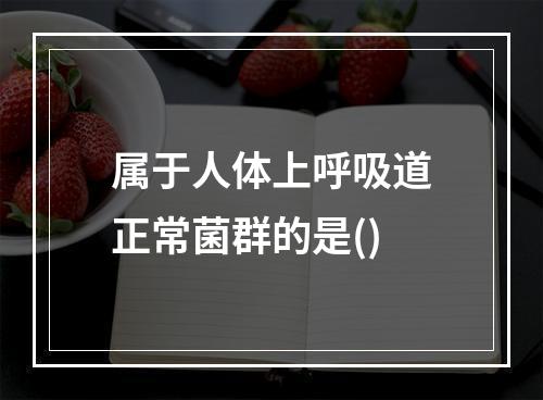 属于人体上呼吸道正常菌群的是()