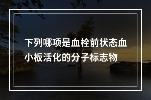 下列哪项是血栓前状态血小板活化的分子标志物