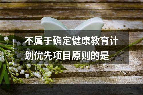 不属于确定健康教育计划优先项目原则的是