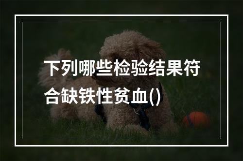 下列哪些检验结果符合缺铁性贫血()