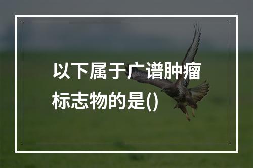 以下属于广谱肿瘤标志物的是()