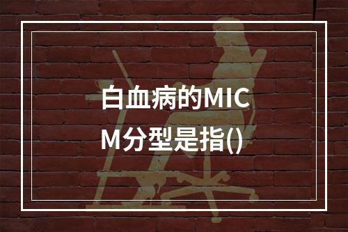 白血病的MICM分型是指()