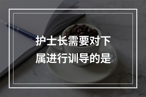 护士长需要对下属进行训导的是