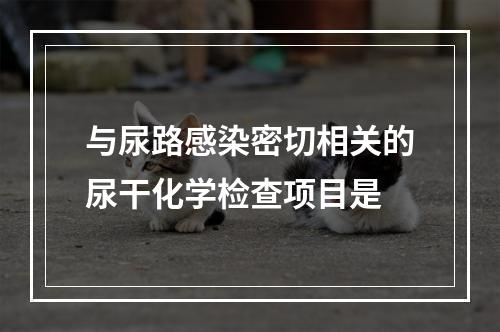 与尿路感染密切相关的尿干化学检查项目是