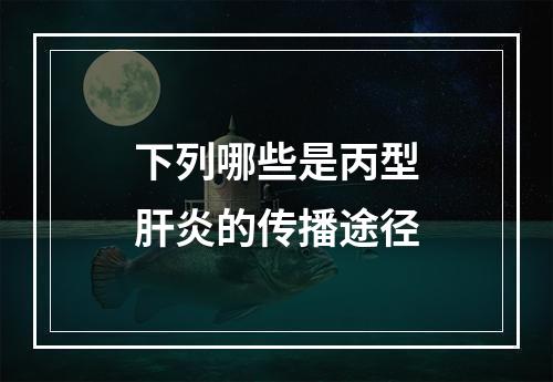 下列哪些是丙型肝炎的传播途径