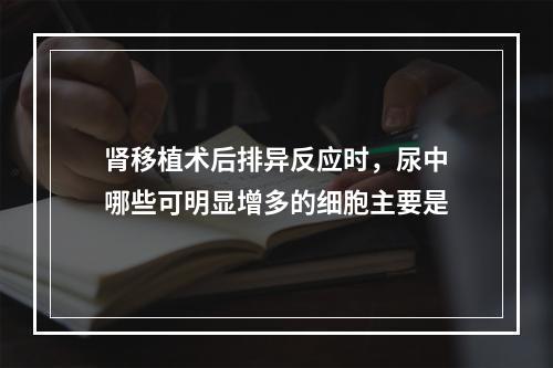 肾移植术后排异反应时，尿中哪些可明显增多的细胞主要是