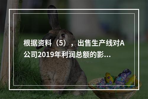 根据资料（5），出售生产线对A公司2019年利润总额的影响金