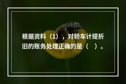 根据资料（1），对轿车计提折旧的账务处理正确的是（　）。