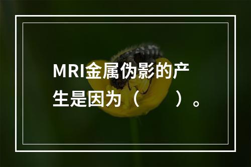 MRI金属伪影的产生是因为（　　）。