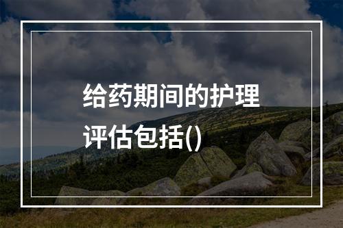 给药期间的护理评估包括()