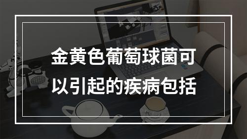 金黄色葡萄球菌可以引起的疾病包括