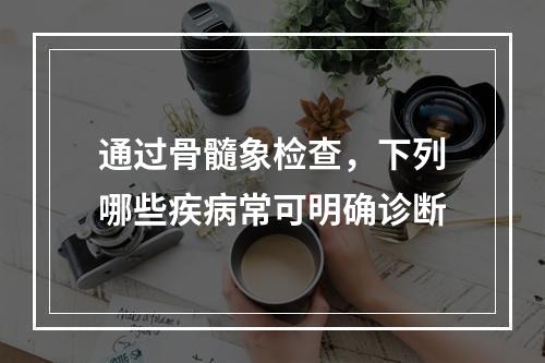 通过骨髓象检查，下列哪些疾病常可明确诊断