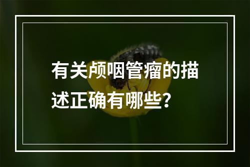 有关颅咽管瘤的描述正确有哪些？