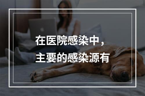 在医院感染中，主要的感染源有