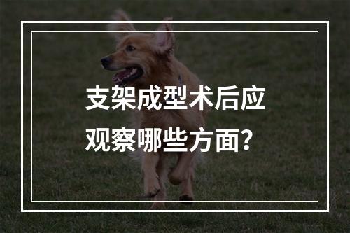 支架成型术后应观察哪些方面？