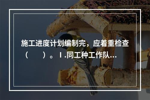 施工进度计划编制完，应着重检查（　　）。Ⅰ.同工种工作队是