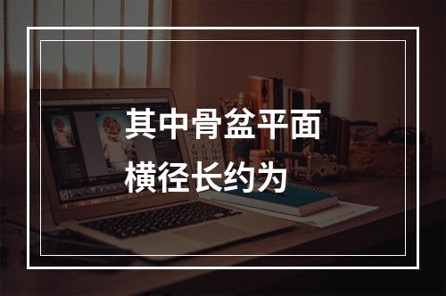 其中骨盆平面横径长约为