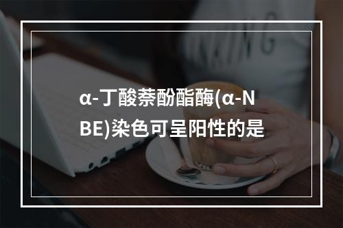 α-丁酸萘酚酯酶(α-NBE)染色可呈阳性的是