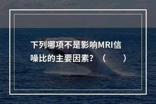 下列哪项不是影响MRI信噪比的主要因素？（　　）