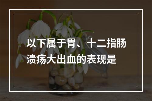 以下属于胃、十二指肠溃疡大出血的表现是