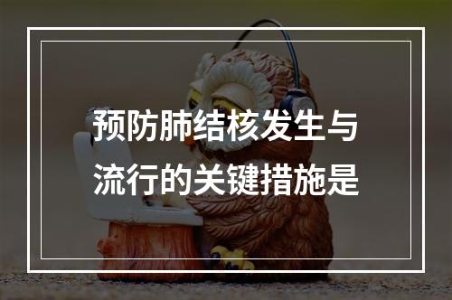 预防肺结核发生与流行的关键措施是