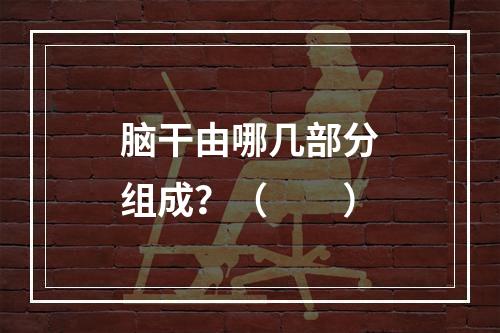 脑干由哪几部分组成？（　　）