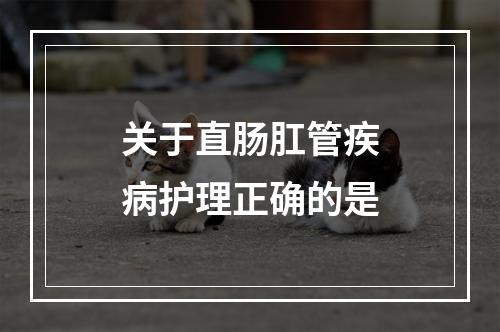 关于直肠肛管疾病护理正确的是