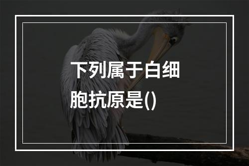 下列属于白细胞抗原是()