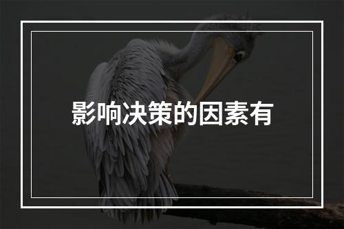 影响决策的因素有