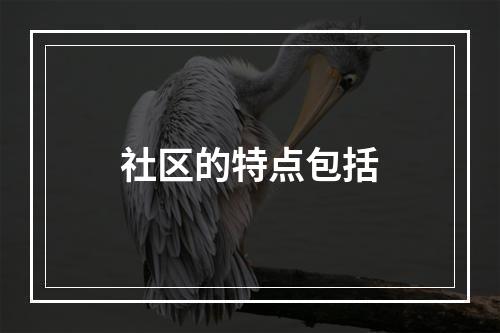 社区的特点包括