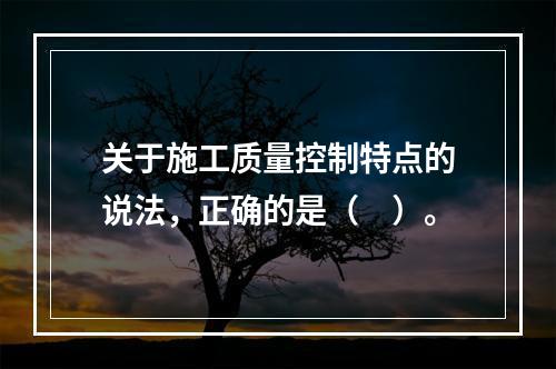 关于施工质量控制特点的说法，正确的是（　）。