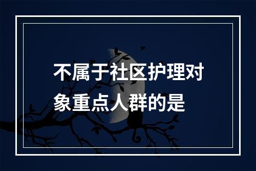 不属于社区护理对象重点人群的是