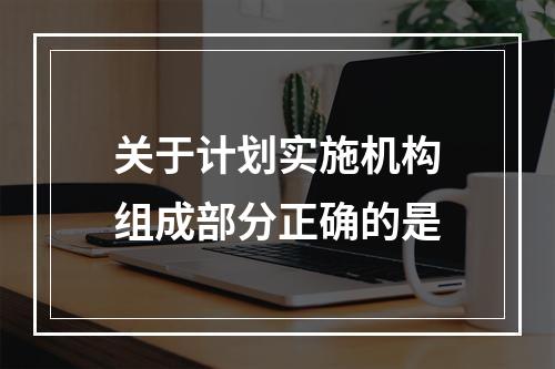 关于计划实施机构组成部分正确的是