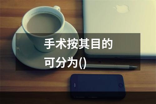 手术按其目的可分为()