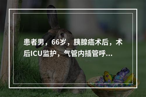 患者男，66岁，胰腺癌术后，术后ICU监护，气管内插管呼吸机