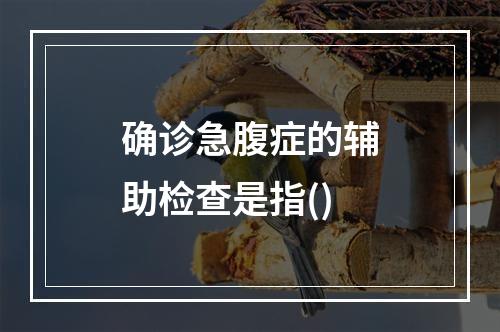 确诊急腹症的辅助检查是指()