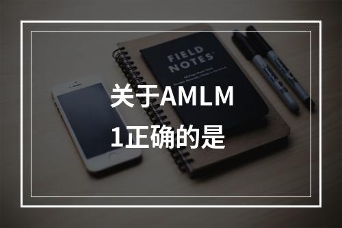 关于AMLM1正确的是