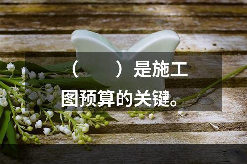 （　　）是施工图预算的关键。