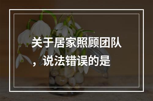 关于居家照顾团队，说法错误的是