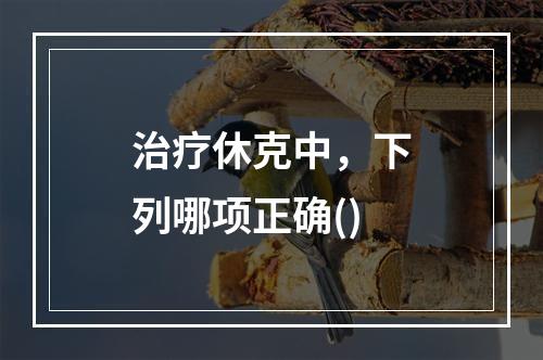 治疗休克中，下列哪项正确()