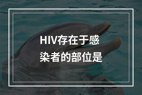 HIV存在于感染者的部位是