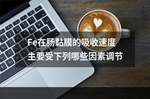 Fe在肠黏膜的吸收速度主要受下列哪些因素调节