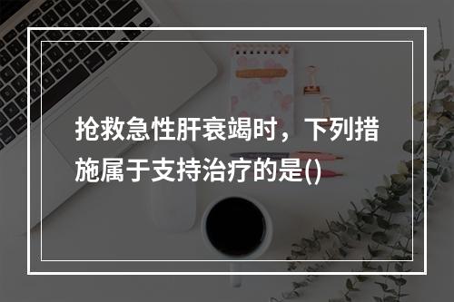 抢救急性肝衰竭时，下列措施属于支持治疗的是()