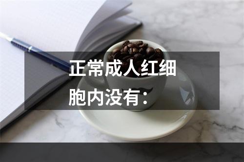 正常成人红细胞内没有：