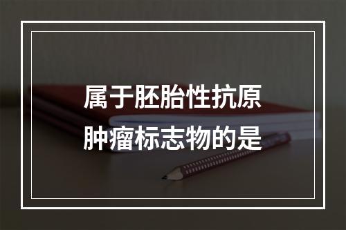 属于胚胎性抗原肿瘤标志物的是