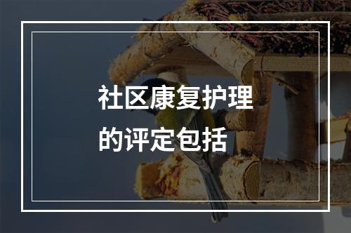 社区康复护理的评定包括