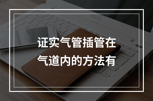 证实气管插管在气道内的方法有