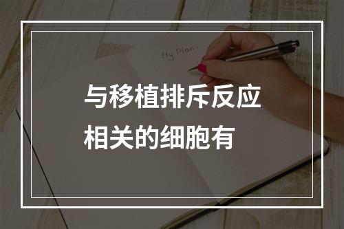 与移植排斥反应相关的细胞有