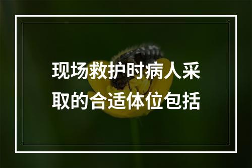 现场救护时病人采取的合适体位包括